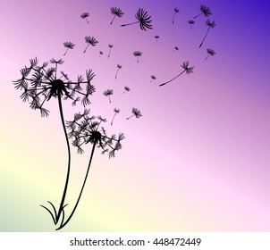 abstract card with dandelions vector background