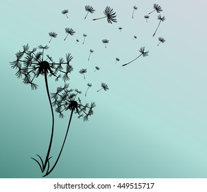abstract card with dandelions vector background