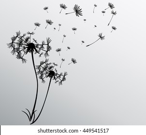 abstract card with dandelions vector background