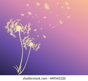 abstract card with dandelions vector background