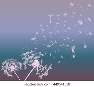 abstract card with dandelions vector background