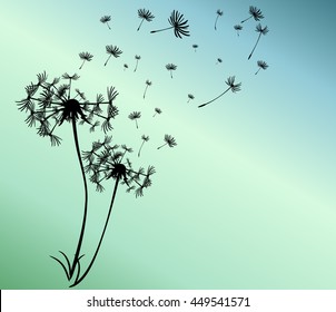abstract card with dandelions vector background