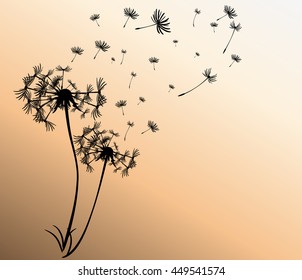 abstract card with dandelions vector background