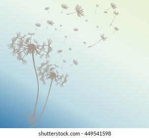 abstract card with dandelions vector background