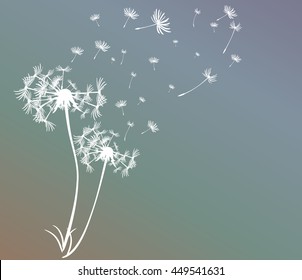 abstract card with dandelions vector background