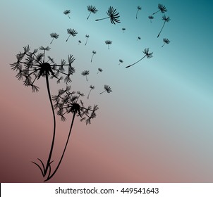 abstract card with dandelions vector background
