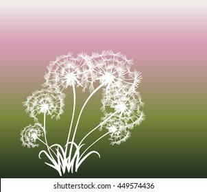 abstract card with dandelions vector background