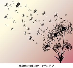abstract card with dandelions vector background