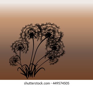 abstract card with dandelions vector background