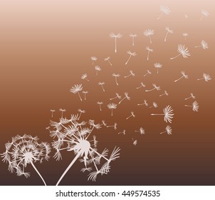 abstract card with dandelions vector background