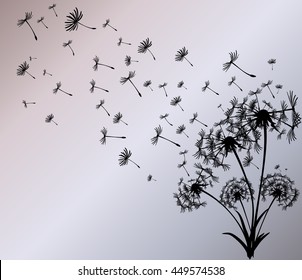 abstract card with dandelions vector background