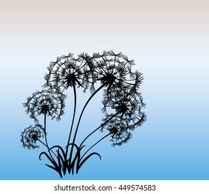 abstract card with dandelions vector background
