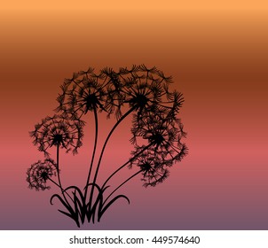 abstract card with dandelions vector background