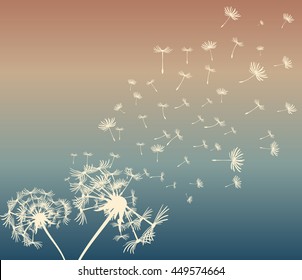 abstract card with dandelions vector background