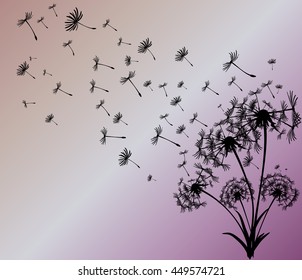 abstract card with dandelions vector background