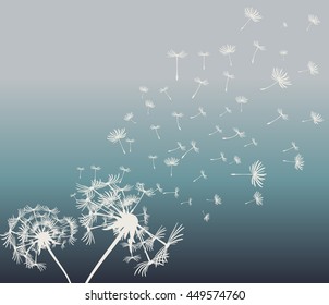 abstract card with dandelions vector background