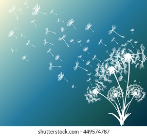 abstract card with dandelions vector background