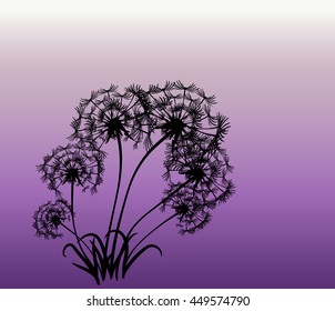 abstract card with dandelions vector background
