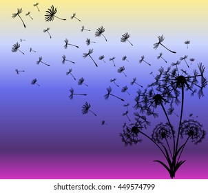 abstract card with dandelions vector background