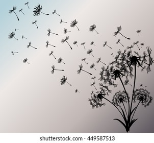 abstract card with dandelions vector background