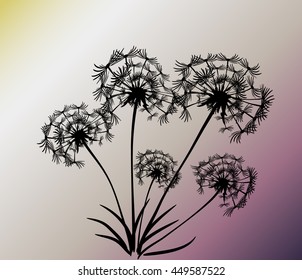abstract card with dandelions vector background