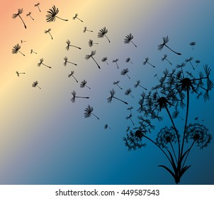 abstract card with dandelions vector background