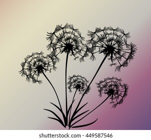 abstract card with dandelions vector background