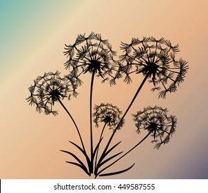 abstract card with dandelions vector background