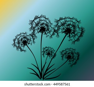 abstract card with dandelions vector background