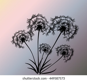 abstract card with dandelions vector background
