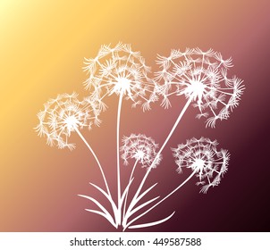 abstract card with dandelions vector background