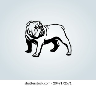 Abstract Cartoon of English Bulldog Dog