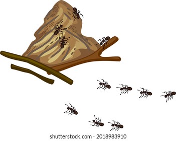 Abstract Cartoon Forest Ants Anthill Isolated Stock Vector (Royalty ...