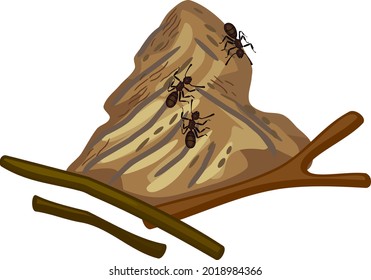 Resumen de las caricaturas de las hormigas forestales y el ántico aislados en fondo blanco