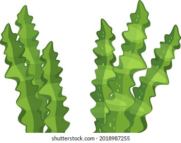 Abstract cartoon green algae isolated on white background