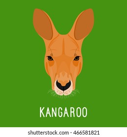  Abstract cartoon kangaroo portrait. Nature, wild animal theme. Flat kangaroo portrait isolated on green for card, placard, invitation, poster, note, sketch book. 