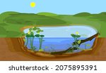 Abstract cartoon landscape with split level freshwater pond. Biotope pond with Yellow water-lily (Nuphar lutea) plants and driftwood