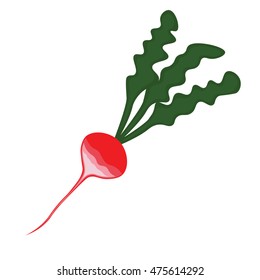 Abstract cartoon radish with green leaves
