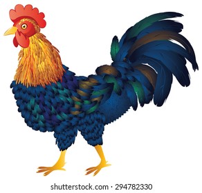 Abstract cartoon rooster illustration on white background.