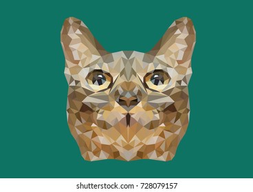 Abstract of Cat head shot low poly vector with green background