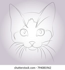 Abstract cat muzzle