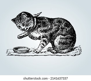 Gato abstracto con técnicas de sombreado para ilustración