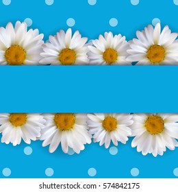 Abstract Chamomile Flowers Natural Spring and Summer Background 3D Realistic Vector Iillustration EPS10