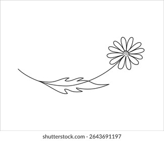 Abstract chamomile line art. One sketch plant. Tattoo element. Outline floral vector illustration.