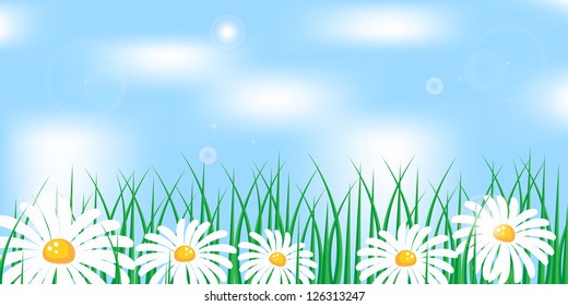 abstract chamomiles in grass on the sky background vector