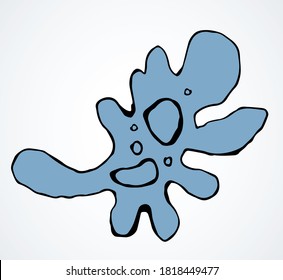 Abstract chaos shape tiny protist element. Line black hand drawn water nature life medicine school study icon sign symbol pictogram diagram sketch. Art doodle cartoon style design. Closeup macro view