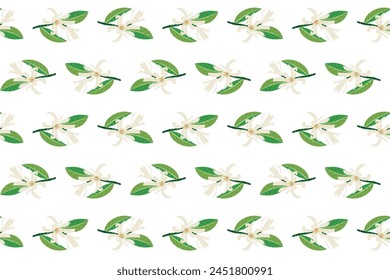 Abstract of chempaka flower with leaf on white background.