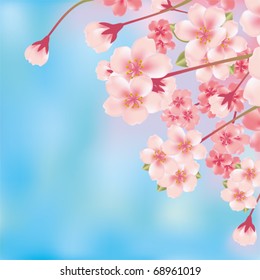 Abstract Cherry Blossom. Illustration vector