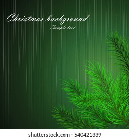 Abstract Christmas background with pine branches. Vector illustration