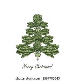 Abstract Christmas tree made of cabbage. Vegetarian Christmas tree. Hand drawn illustration - vector